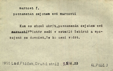 Náhled