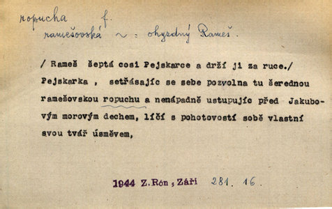 Náhled