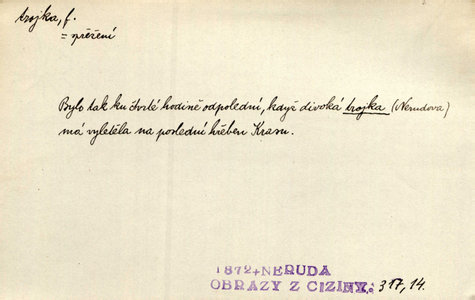 Náhled