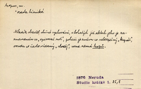 Náhled