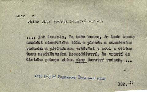 Náhled