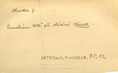 Náhled