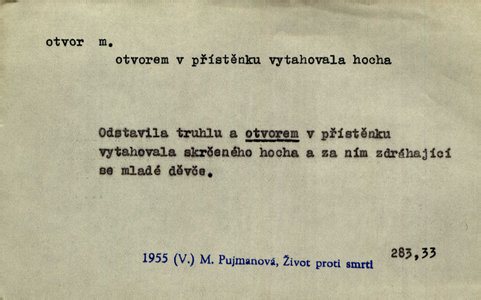 Náhled