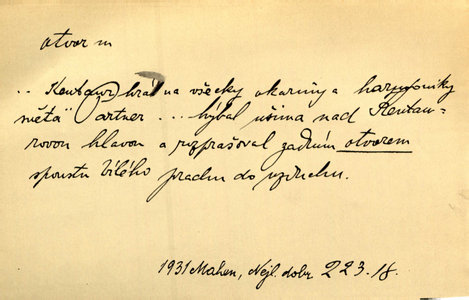 Náhled