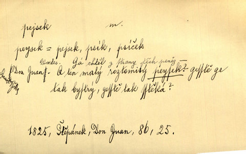 Náhled