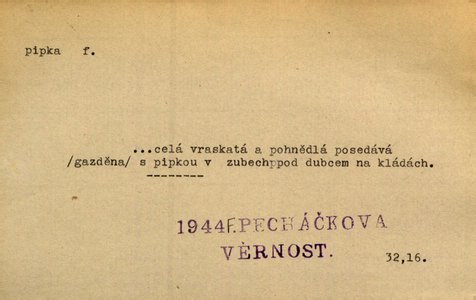 Náhled