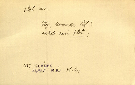Náhled