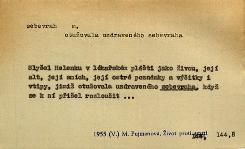 Náhled