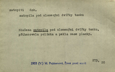 Náhled