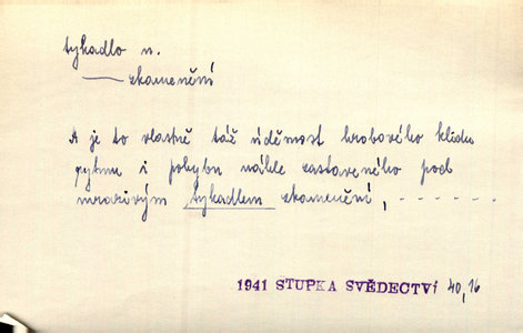Náhled