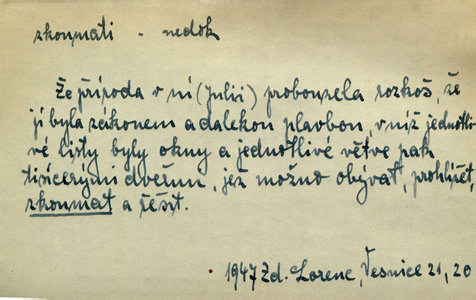 Náhled