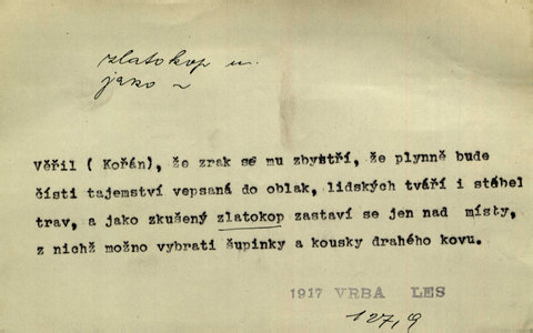 Náhled