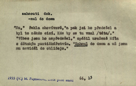 Náhled