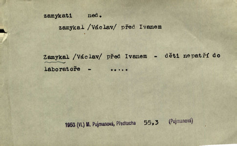 Náhled