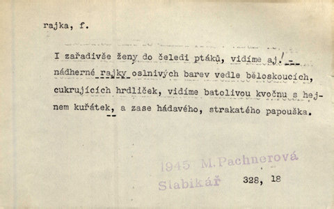 Náhled