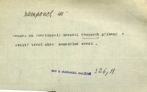 Náhled