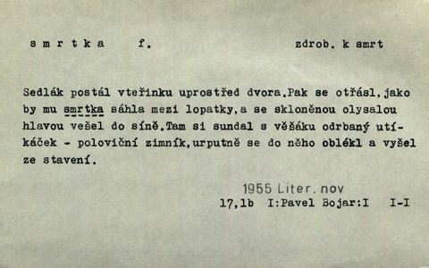 Náhled