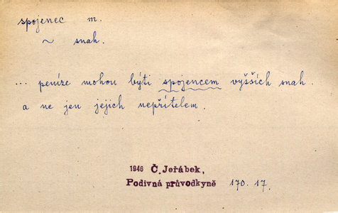 Náhled