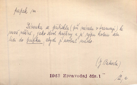 Náhled