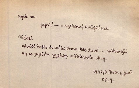 Náhled