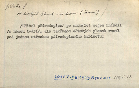 Náhled