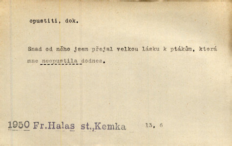 Náhled