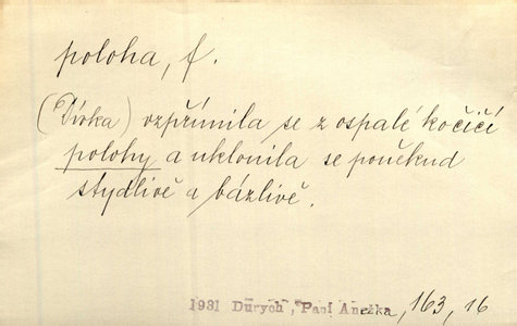 Náhled