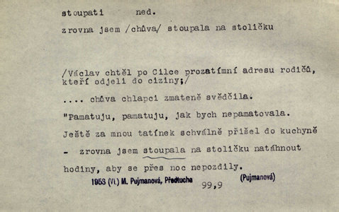 Náhled