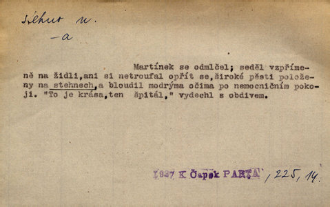 Náhled