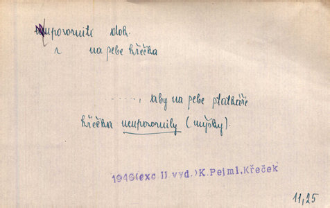 Náhled