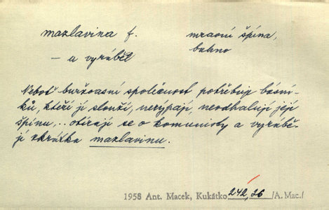 Náhled