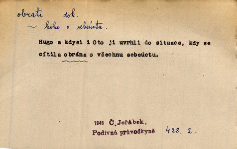 Náhled