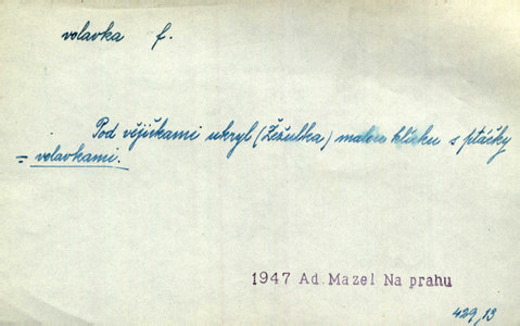 Náhled