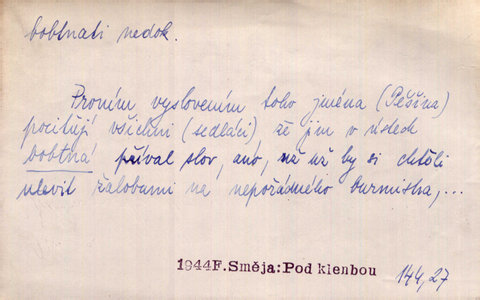 Náhled