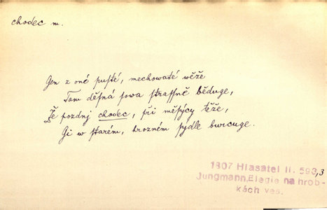Náhled