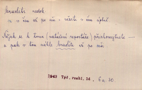 Náhled