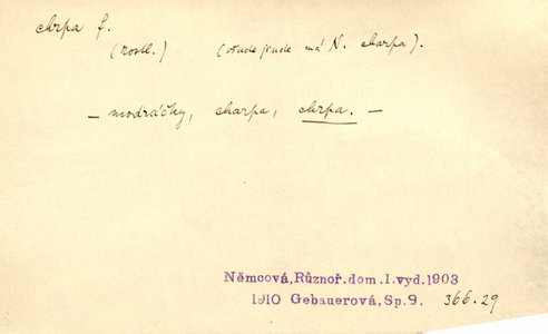 Náhled