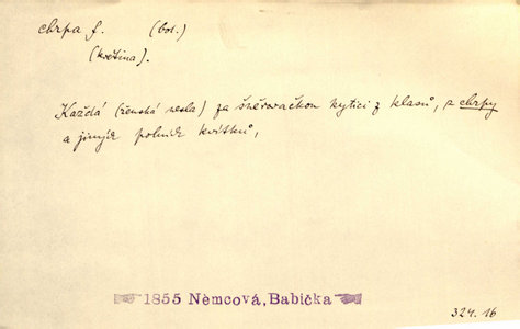 Náhled