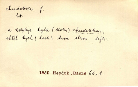 Náhled