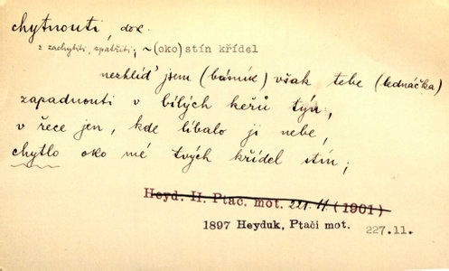 Náhled