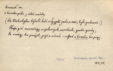 Náhled