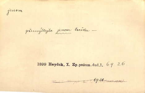Náhled