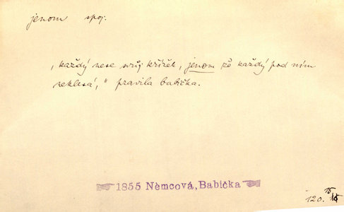 Náhled