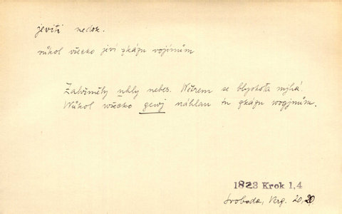 Náhled