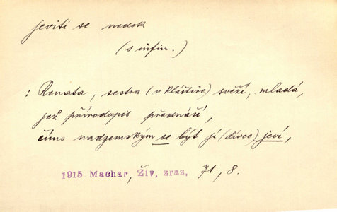 Náhled