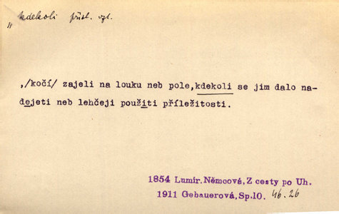 Náhled