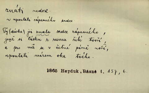 Náhled