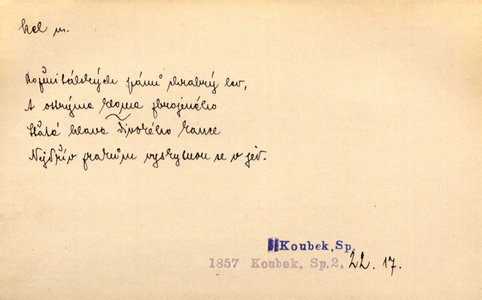 Náhled