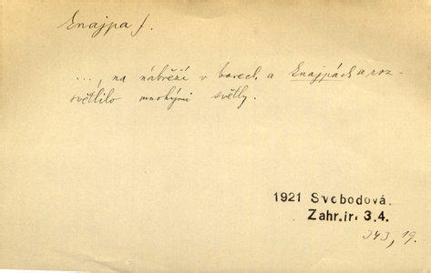 Náhled
