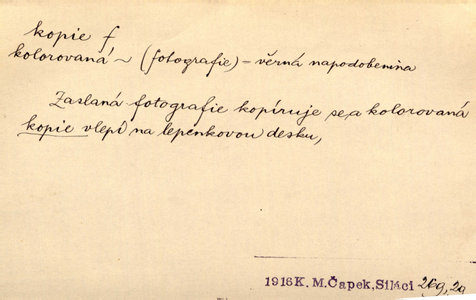 Náhled